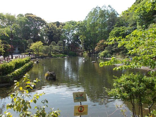 Parque Togoshi